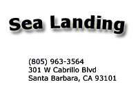 Santa Barbara Deep Fishing on Sea Landing Santa Barbara Ca